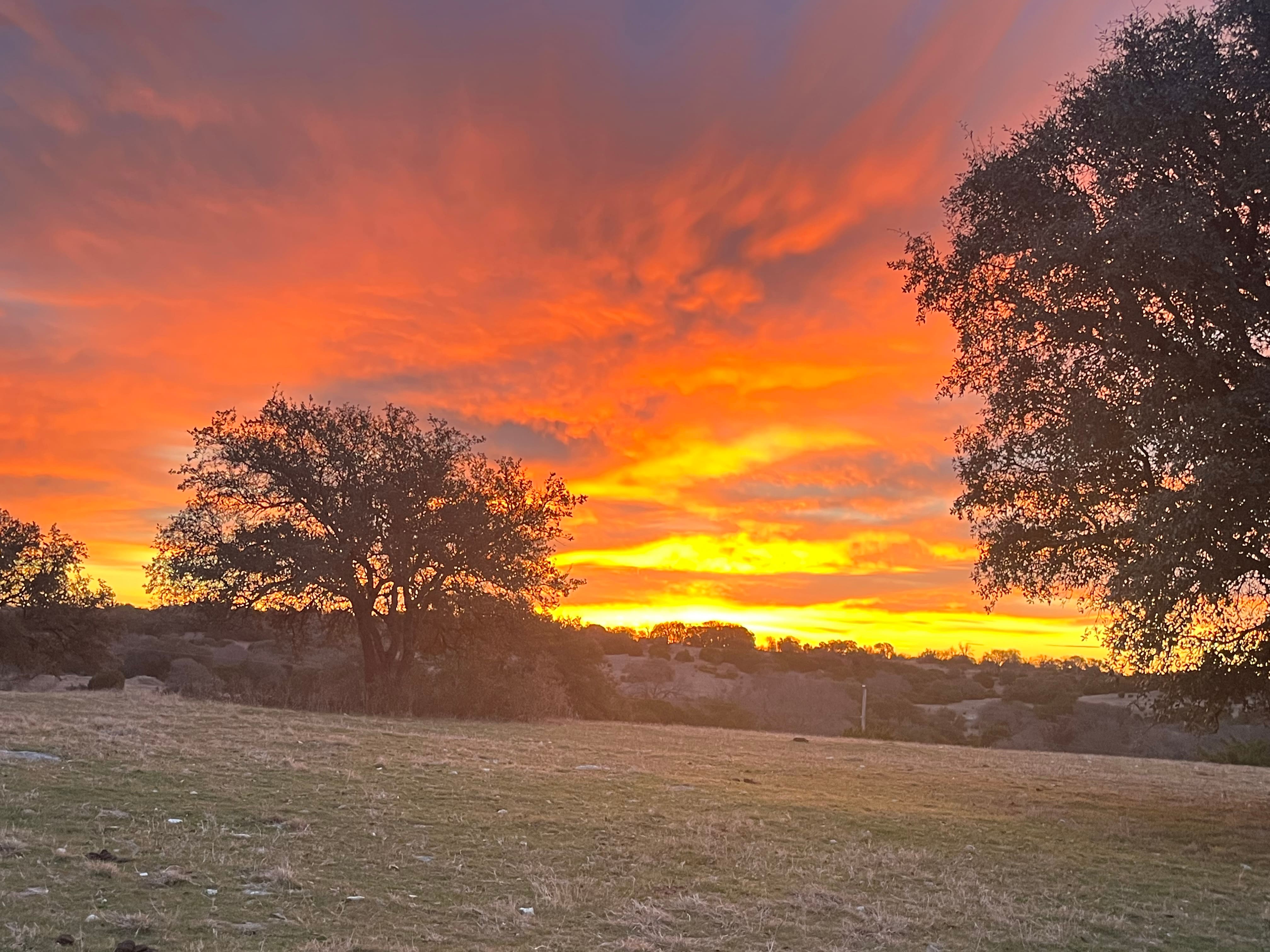 Morning in Meridian, TX